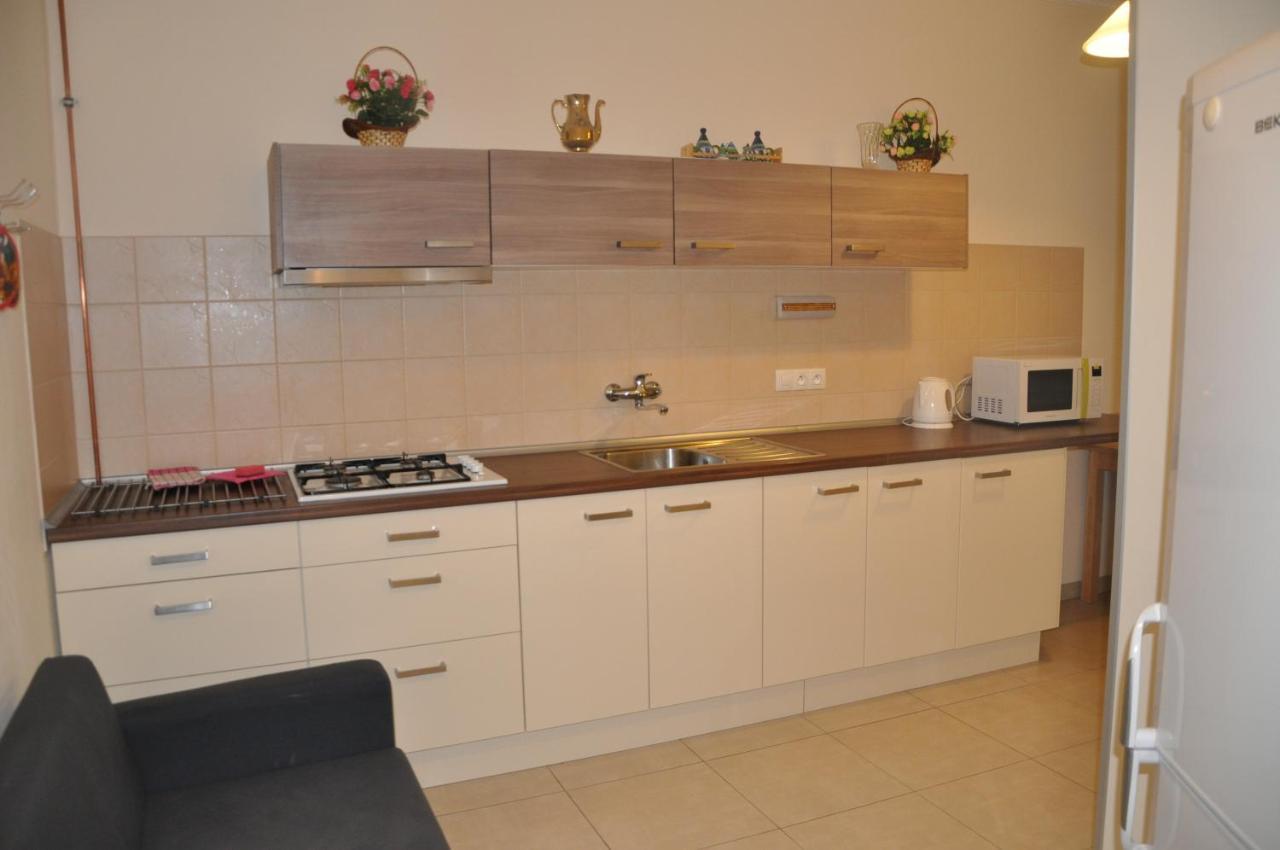 Apartment No. 40 Stara Louka 20 卡罗维发利 外观 照片